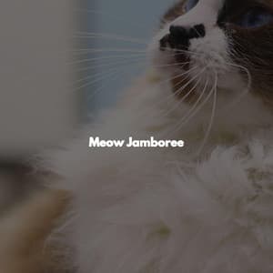 Meow Jamboree - Música Alegre para Cafeterías en Mexico City