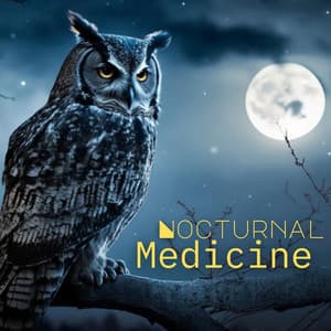 Slow Medicine: Nocturnal, Cozy Night with Native Flute for Sleep and Deep Meditation - Native American Music Consort