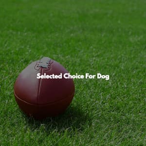 Selected Choice For Dog - Easy Listening Background Jazz