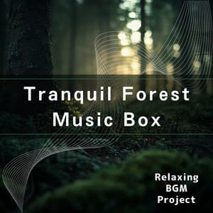 Tranquil Forest Music Box - Relaxing BGM Project
