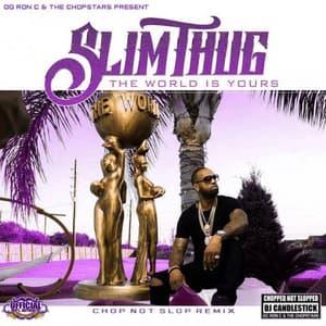 The World is Yours - Slim Thug