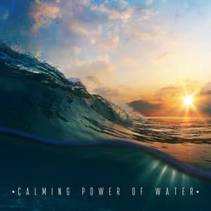 Calming Power of Water: Tranquil and Beautiful Music of Nature - Calming Waters Consort