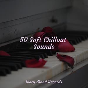 50 Soft Chillout Sounds - Ivory Mood