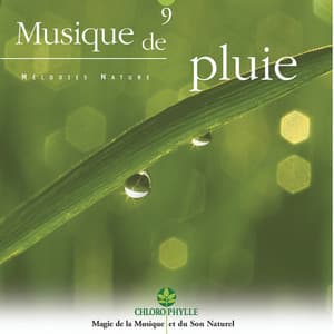 Chlorophylle 9 : Musique de pluie - Relaxing Zen Nature