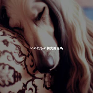 いぬたちの朝食用音楽 - Relaxing Jazz Nights