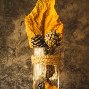 Warm and Cozy Day Indoors - Elena Guitarra