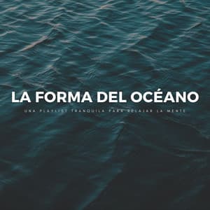 La Forma Del Océano: Una Playlist Tranquila Para Relajar La Mente - Sonidos Relajantes de Naturaleza
