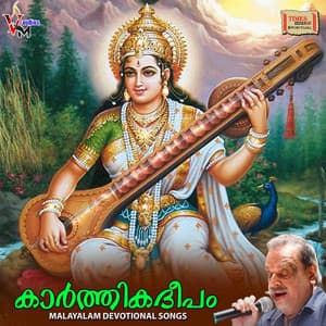 Karthika Deepam - Sureesh