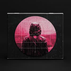 Natura Intuitiva - Recording Nature