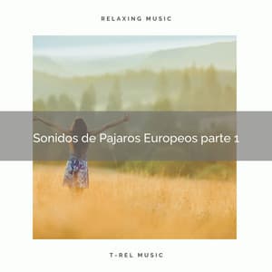 2021 Nuevo: Sonidos de Pajaros Europeos - Sonido Del Bosque y Naturaleza