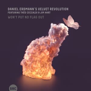 Won't Put No Flag Out - Daniel Erdmann's Velvet Revolution