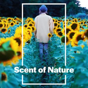 Scent of Nature: Woodland Escape, More Beautiful Sounds - Zen Natural Sounds