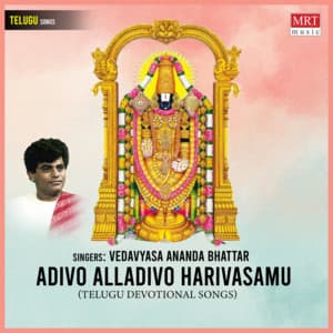 Adivo Alladivo Harivasamu - Vedavyasa Ananda Bhattar