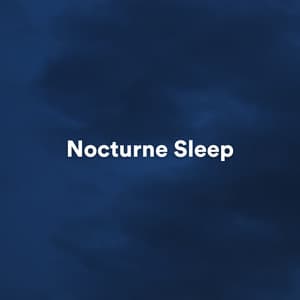 Nocturne Sleep - Reiki Healing Zone