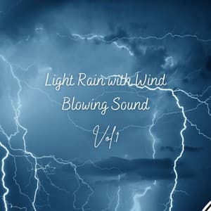 Light Rain with Wind Blowing Sound Vol. 1 - Rain Palace