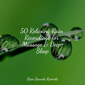 50 Relaxing Rain Recordings for Massage & Deep Sleep - Sons da Natureza