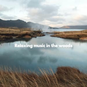 Relaxing music in the woods - Easy Listening Jazz