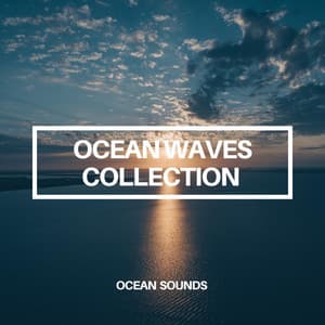 Ocean Waves Collection - Ocean Sounds