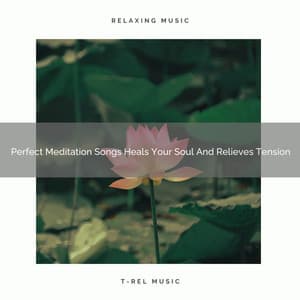 Perfect Meditation Songs Heals Your Soul And Relieves Tension - Sanctuary Of Relax