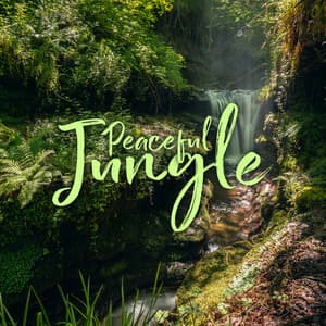 Peaceful Jungle: Amazon Relaxation Nature Sounds - Natural Healing Music Zone