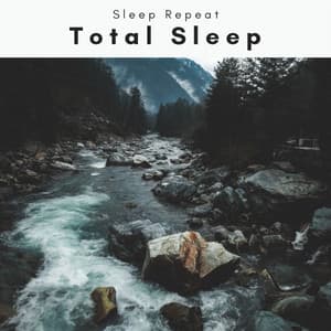 A Total Sleep - Sleep Repeat