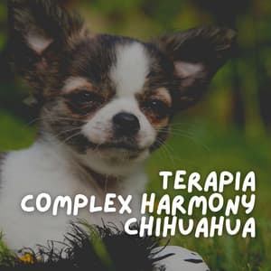 Terapia Complex Harmony Chihuahua - Biblioteca de Música Para Mascotas