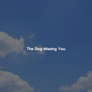 The Dog Missing You - Música para Cafe