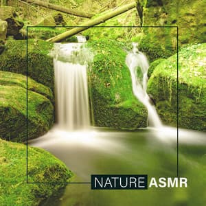 Nature ASMR with Ambient Background: Therapy for Schizophrenia and Autism - Nature Sounds Artists