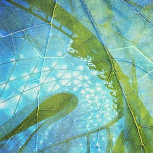 Evil Lurking - Joker Beats