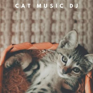 Calm Cat - Cat Music DJ