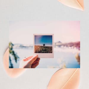 Peaceful Backdrop for Chill Work Weekends - Music for Work Playlist