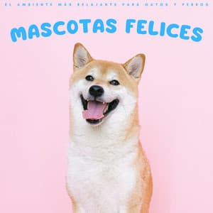 Mascotas Felices: El Ambiente Más Relajante Para Gatos Y Perros - Música para mascotas