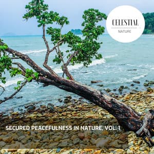 Secured Peacefulness in Nature, Vol. 1 - Nature Radiance