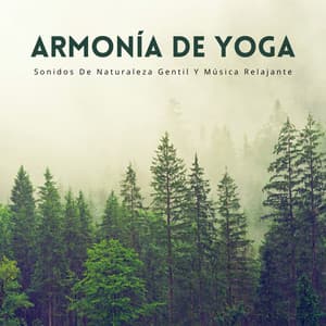 Armonía De Yoga: Sonidos De Naturaleza Gentil Y Música Relajante - Naturaleza Sonidos