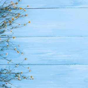 Echoes of Relaxed June Nites - Tokyo Bebop Jazz Playlist