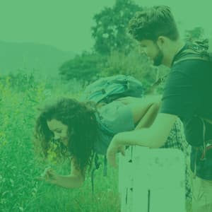 Opulent Jazz Guitar Solo - Bgm for Taking Notes - Working from Home Playlist