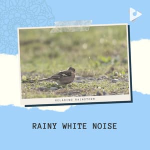 Rainy White Noise - Relaxing Rainstorm