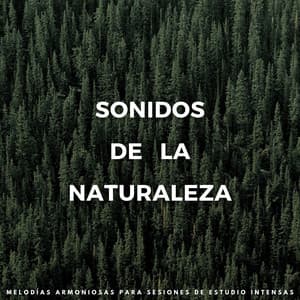 Sonidos De La Naturaleza : Melodías Armoniosas Para Sesiones De Estudio Intensas - Serenidad Academy