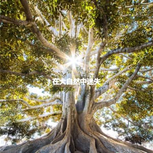 在大自然中迷失 - Peaceful Autumn Instrumental Jazz