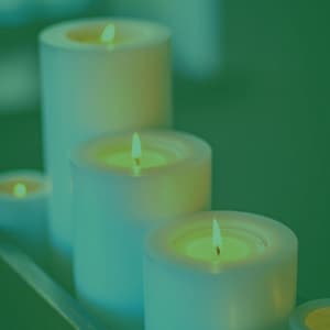 Cute - Tranquil Sleep - Spa Music Playlist