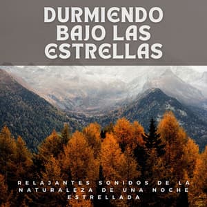 Durmiendo Bajo las Estrellas: Relajantes Sonidos de la Naturaleza de una Noche Estrellada - Sonidos de la Naturaleza para Dormir