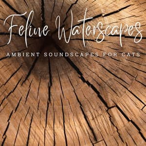 Tranquil Feline Waterscapes: Ambient Soundscapes for Cats - Water Way