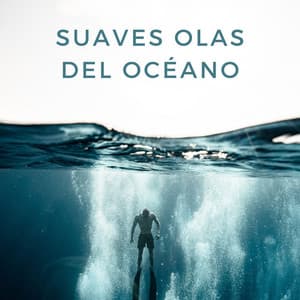 Suaves Olas Del Océano - Resplandor de las olas del océano