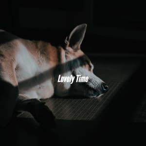 Lovely Time - Miami Hotel Jazz