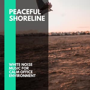 Peaceful Shoreline - White Noise Music for Calm Office Environment - Incredible Oceans