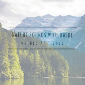 Nature Ambience - Nature Sounds Worldwide