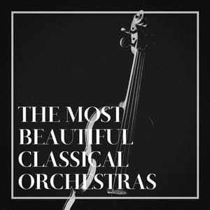 The Most Beautiful Classical Orchestras - Exam Study Classical Music Orchestra