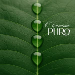 O Caminho Puro - Meditação e Espiritualidade Musica Academia