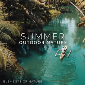 Summer Outdoor Nature - Elements of Nature