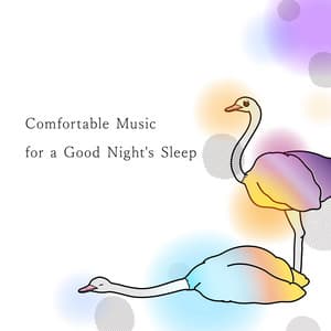 Comfortable Music for a Good Night's Sleep - Animal Piano Lab